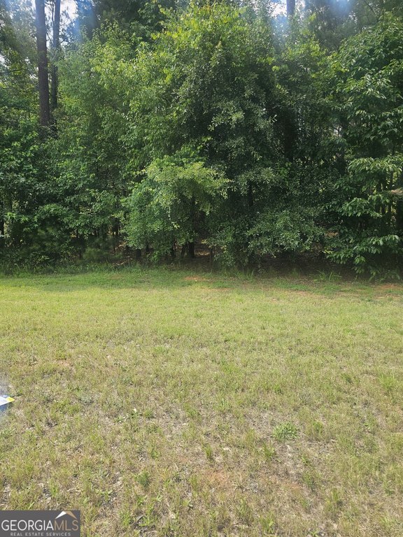 Picture 3