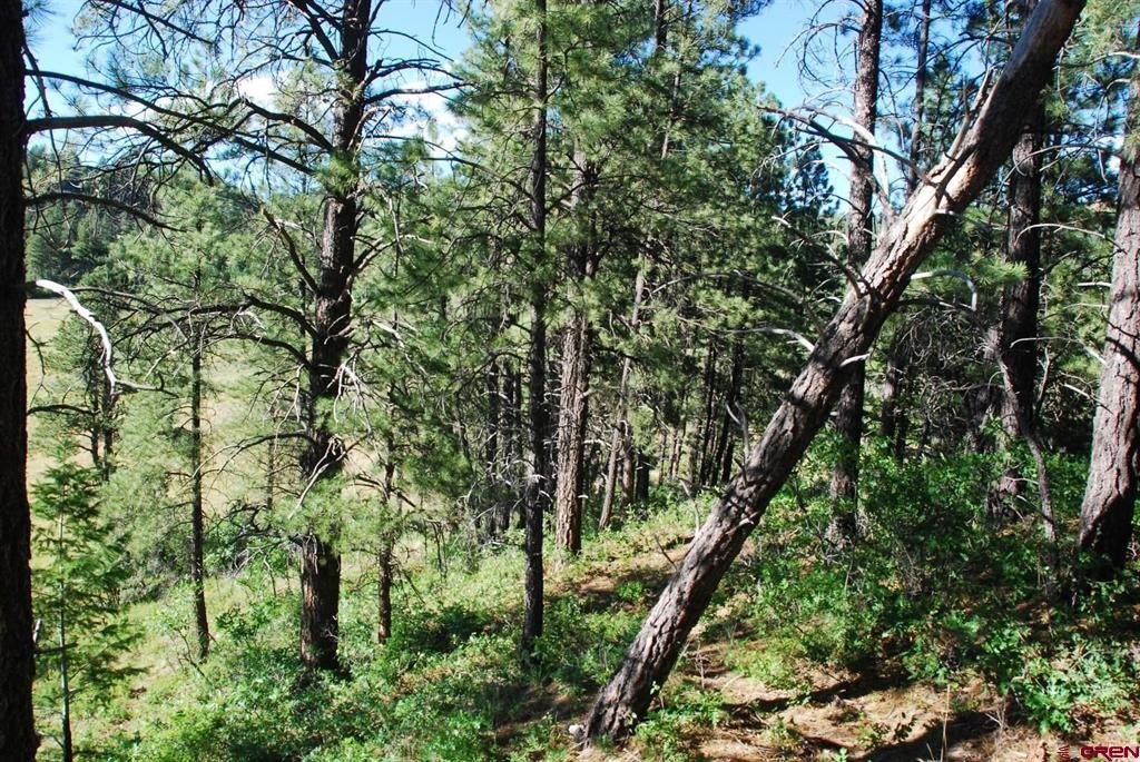 Picture 30