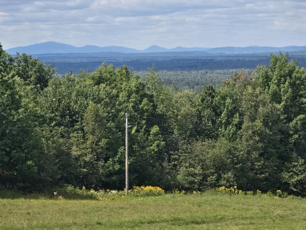 Picture 19