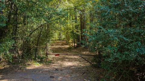 LAND, Gladewater, TX
