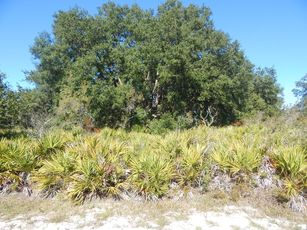 Picture 3