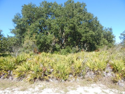 Land & Docks, Indian Lake Estates, FL