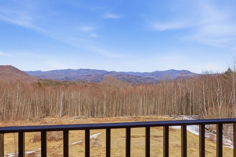 Forest Conservation Land Parcel with Road Frontage
