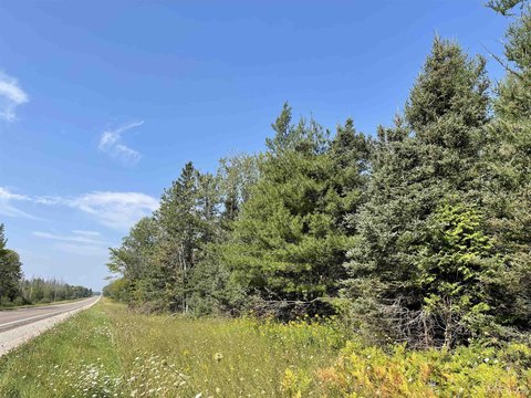VACANT LAND, Skandia, MI
