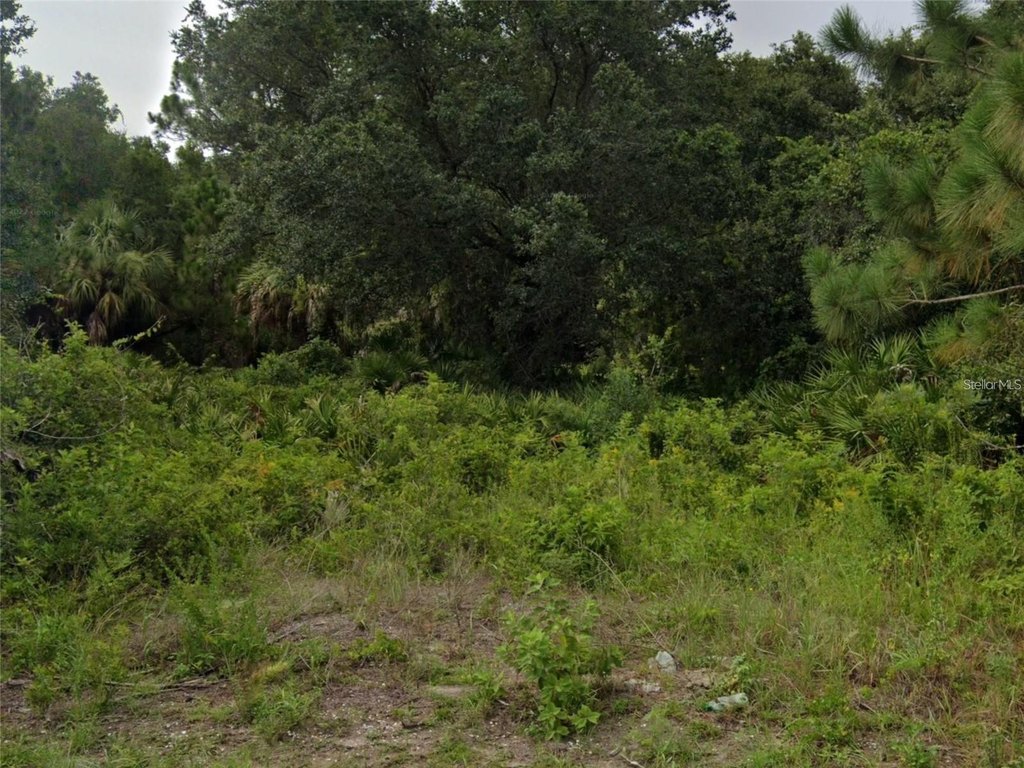 Picture 3