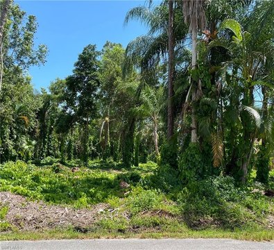Land, NAPLES, FL