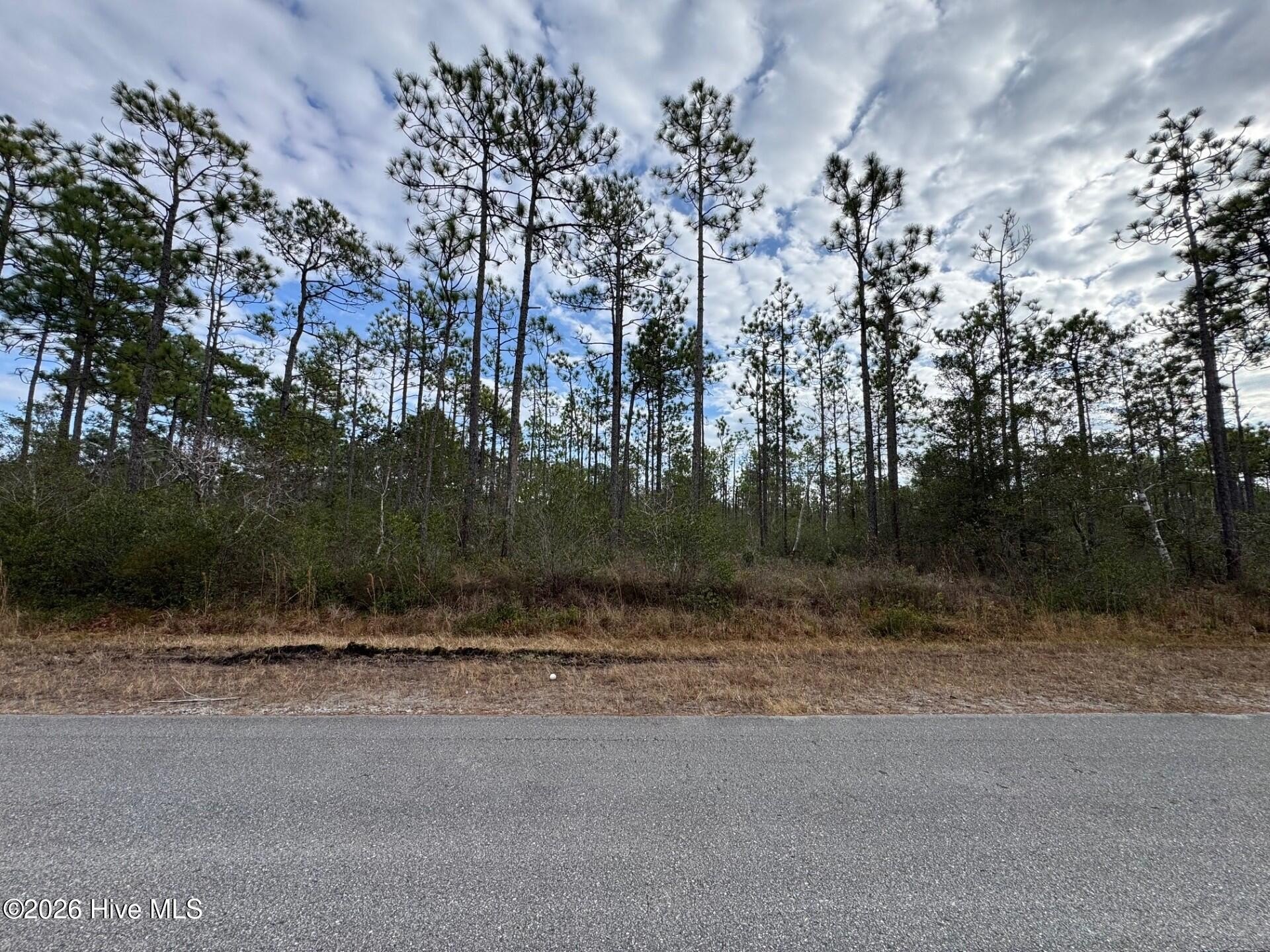 Southport, NC Wooded Residential Lot
