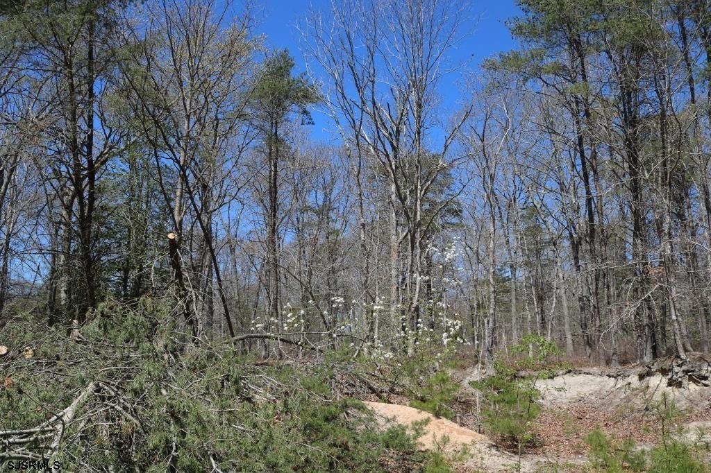 Picture 9