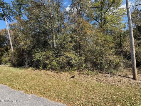 Residential Land in Diamondhead, MS