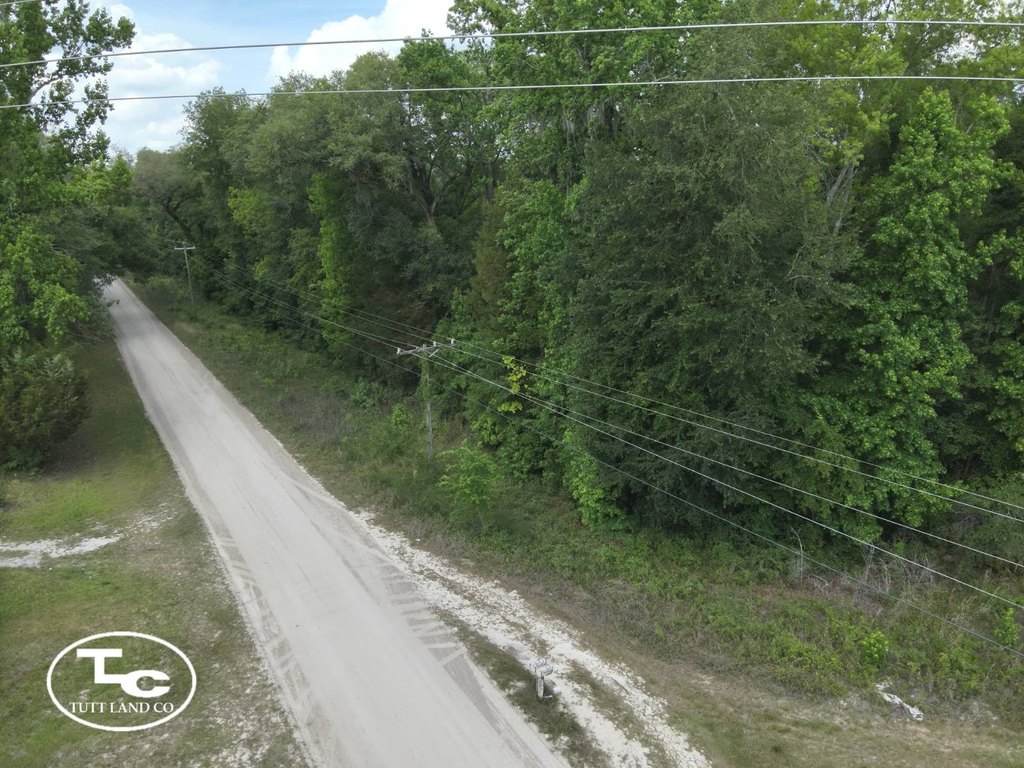Picture 6
