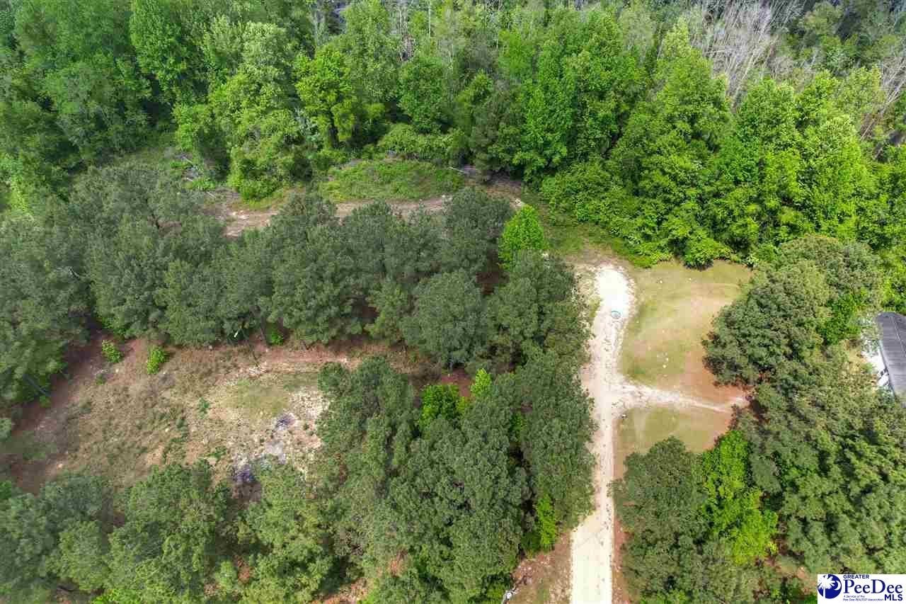 Land in Latta, South Carolina