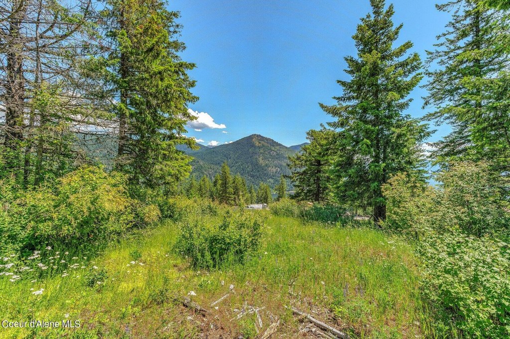 Picture 8