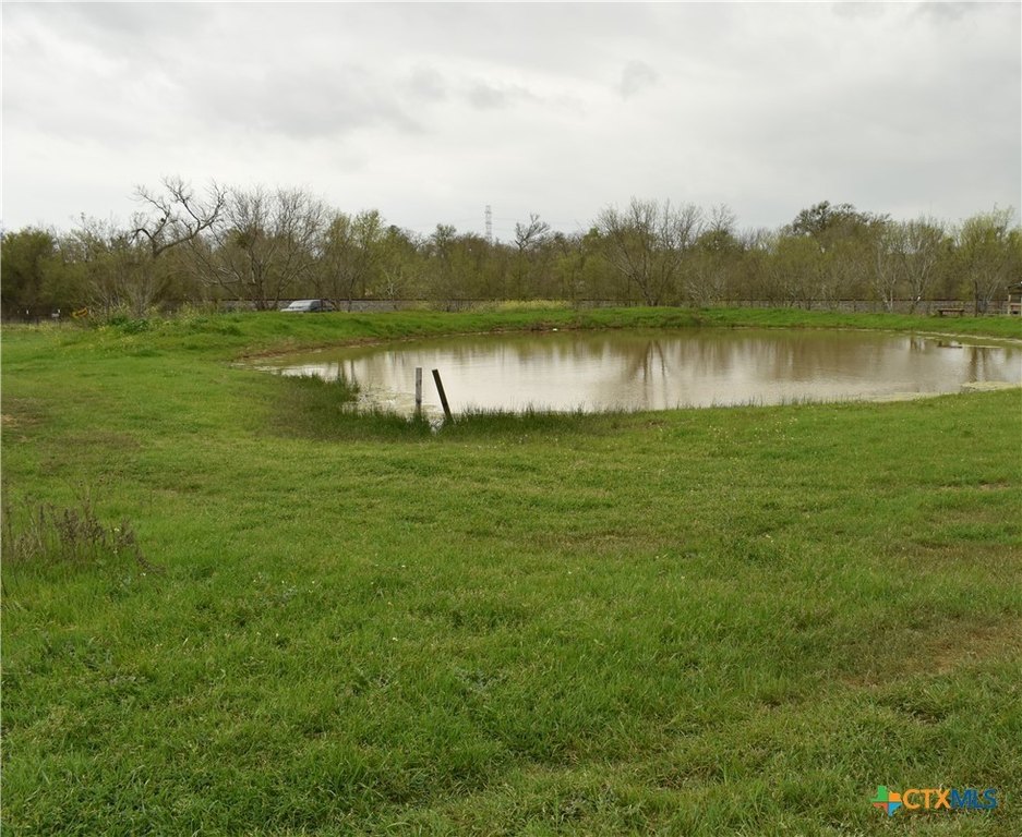 Picture 11