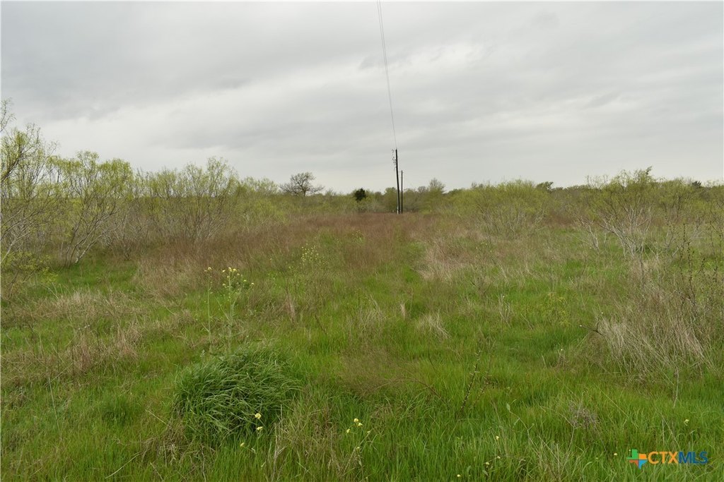 Picture 9