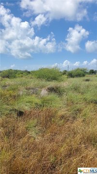 Seadrift, TX Land For Sale