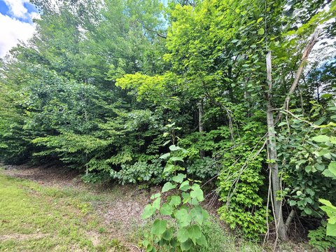 Land, Gaylord, MI
