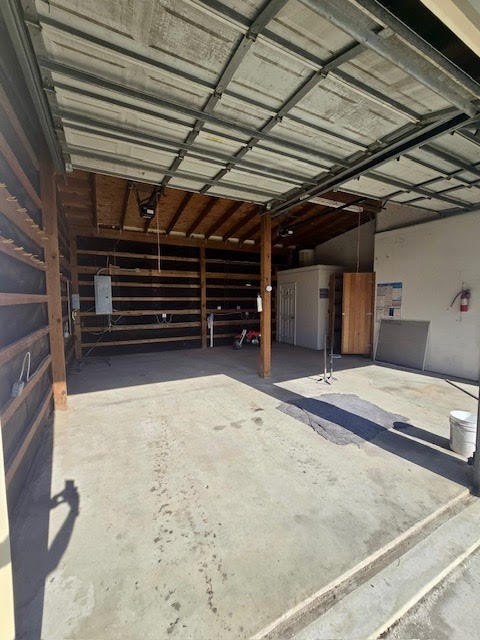 Picture 23