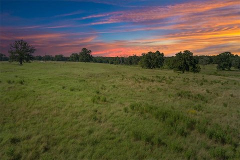 20 Acres of Unimproved Land