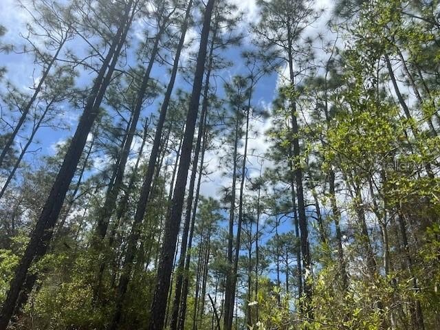 Land in Melrose Landing