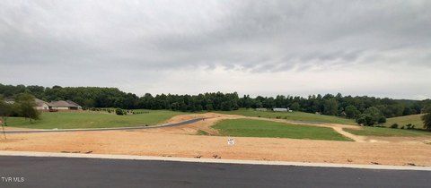 Residential Lot in Larkins Farm