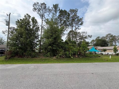 LAND - PALM COAST, FL