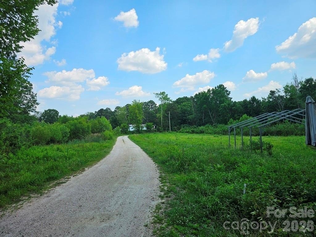 Picture 5