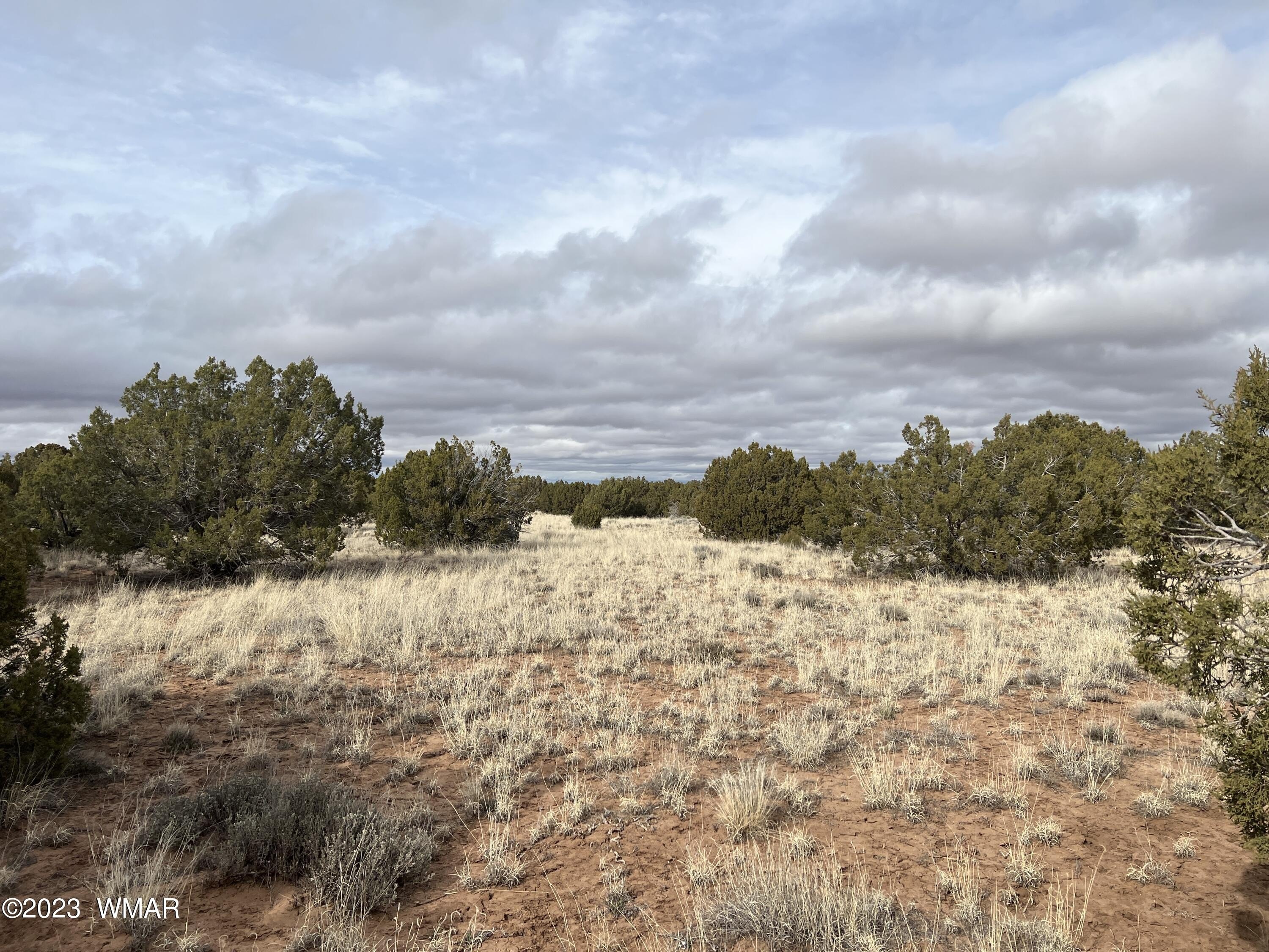 Land in Snowflake, Arizona