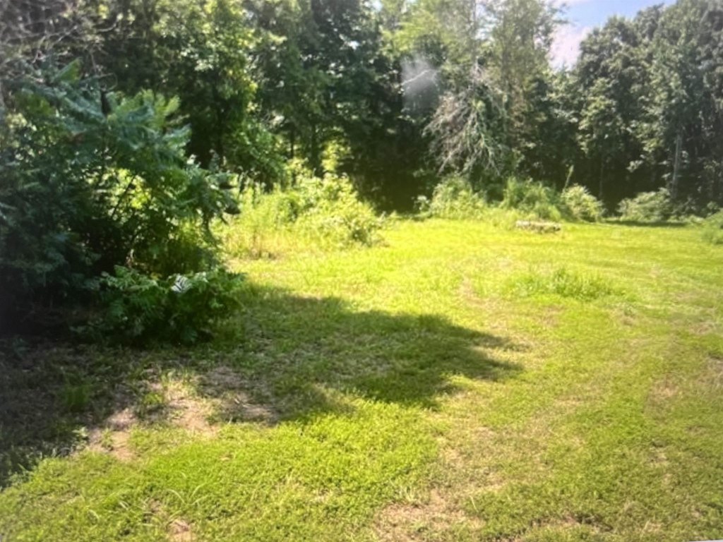Picture 2