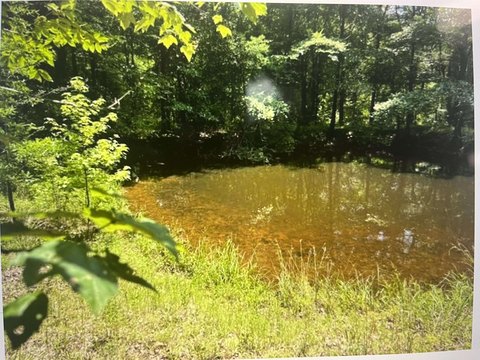 Land, Stanton, TN