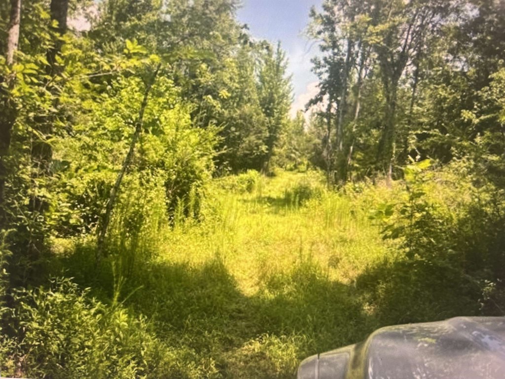 Picture 4