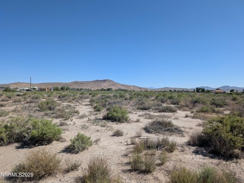LAND - Yerington, NV