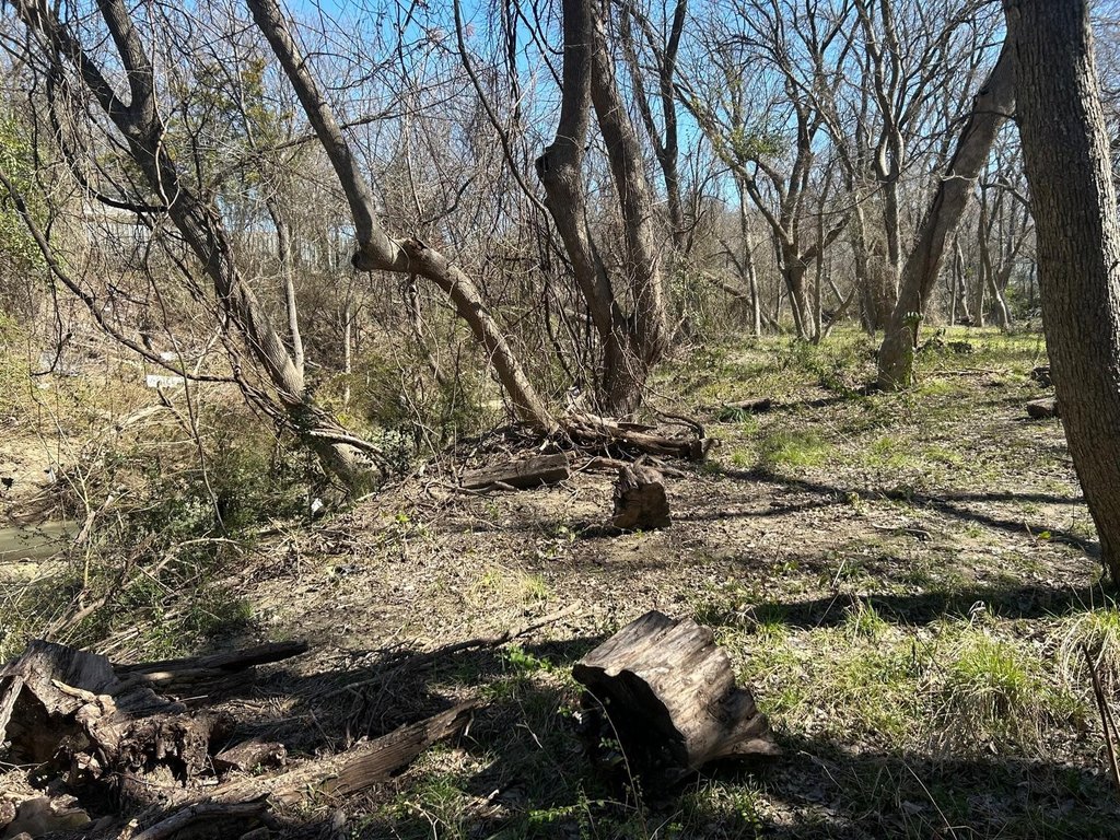 Picture 7