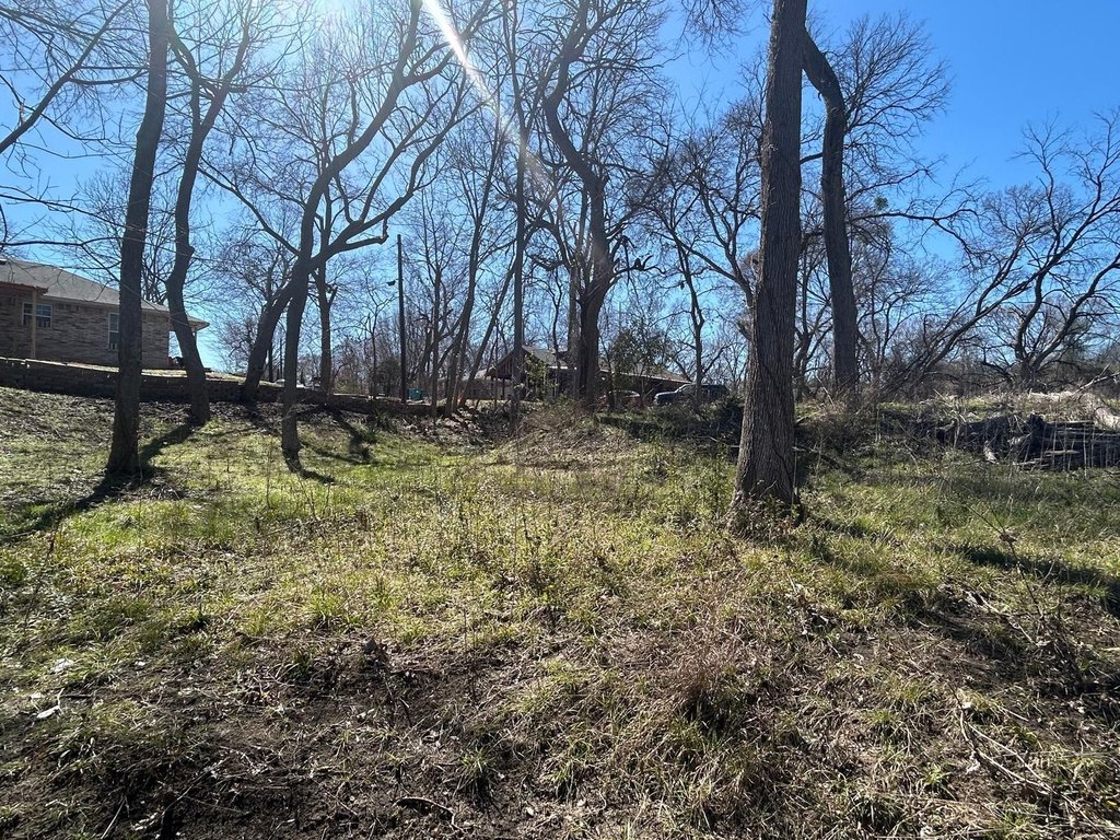 Picture 6