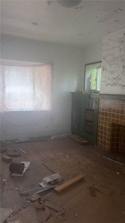 Picture 29