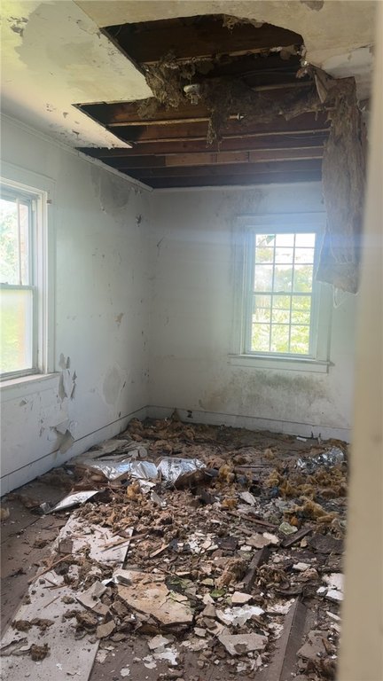 Picture 24