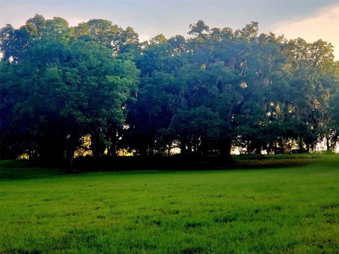 Platted Agricultural Land Parcels