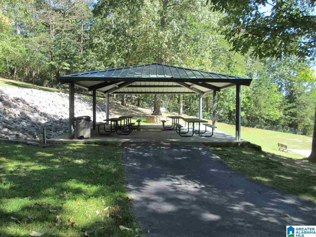 Picture 12