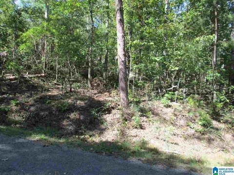 Residential Lot in Creekside Subdivision