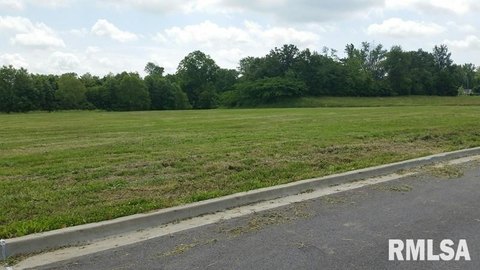 Carbondale Commercial Land Opportunity