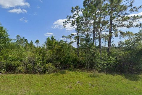 Land, PUNTA GORDA, FL