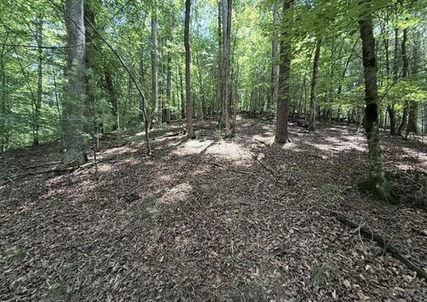 Mountain View Residential Lot