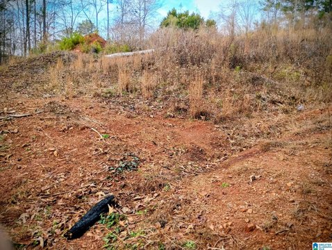 LAND - LINEVILLE, AL
