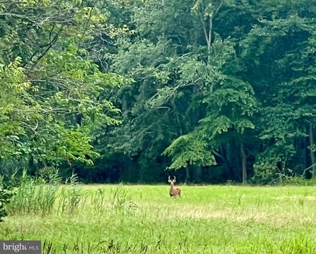Land, PORT NORRIS, NJ