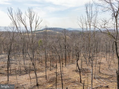 Residential Land in Mount Jackson, VA