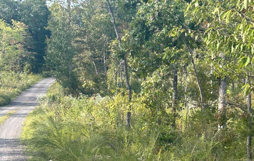 Picture 3