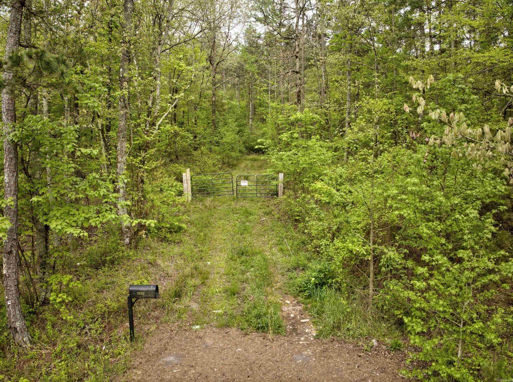 Picture 3