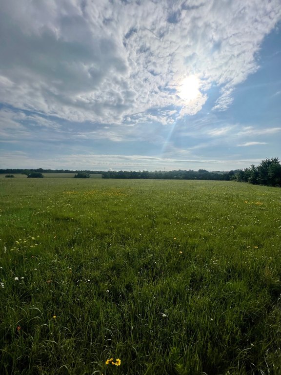 Picture 24