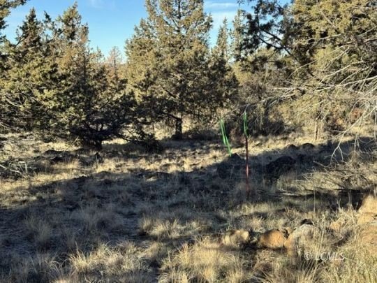 Bonanza Land with Mountain Views