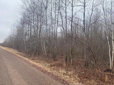 20 Acres of Land, Ogema