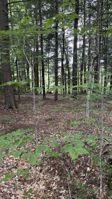 Picture 23